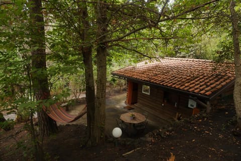 Property building, Garden, Garden view