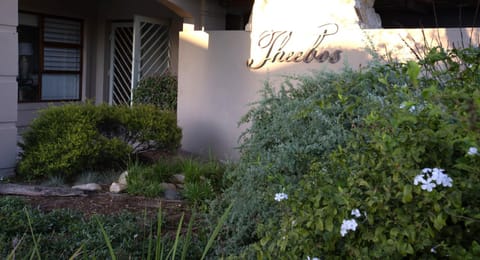 Theebos Apartment in Cape Town