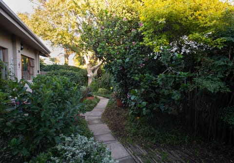 Theebos Apartment in Cape Town