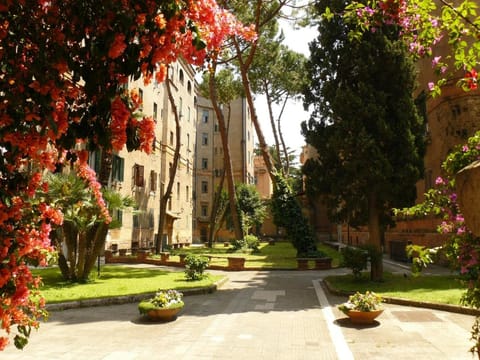 Spring, Garden, Garden view