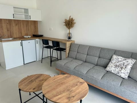 Kitchen or kitchenette, Living room, Seating area