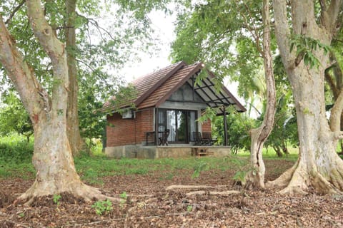 Property building, Garden, Garden view