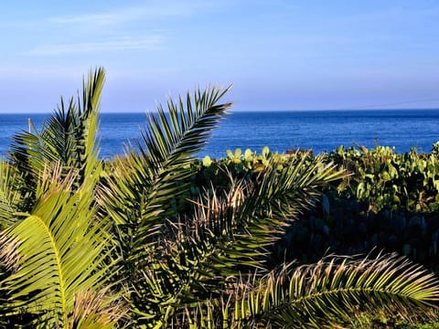Natural landscape, Sea view