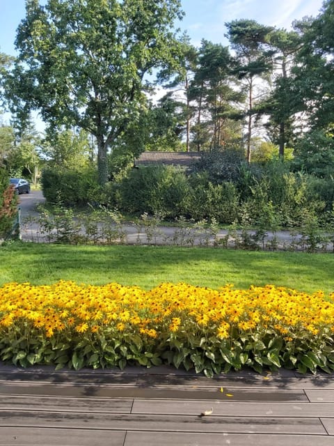 Chalet Little Cocoon Chalet in Wallonia, Belgium