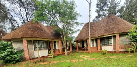 Property building, Garden view