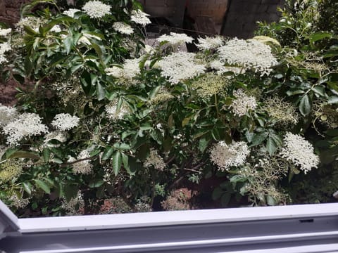 Spirit Apartment in Federation of Bosnia and Herzegovina