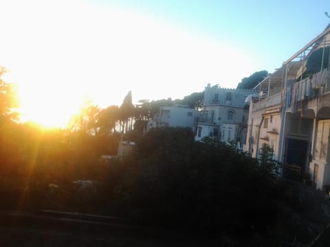 Bird's eye view, Area and facilities