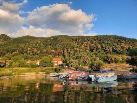 Natural landscape