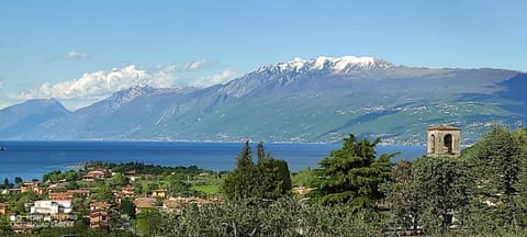 Natural landscape
