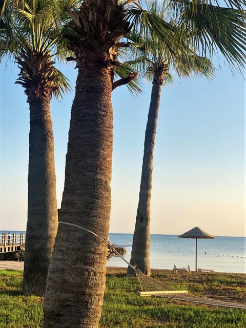 Natural landscape, Beach, Sea view