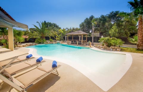 Stunning Villa with Large Pool, Billiard room and Mini-golf Villa in Antibes