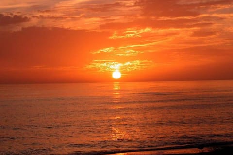 Siesta Key Village-Suite #1: A Block to the Beach! Apartment in Siesta Beach