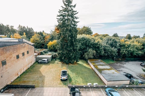 Neighbourhood, Natural landscape, Garden, Garden view