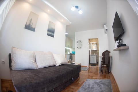APARTMAN TEA 2 Apartment in Belgrade