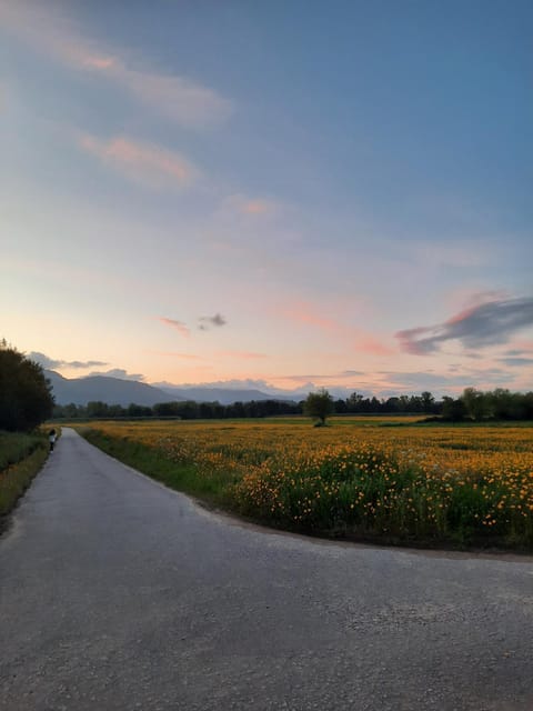 RB Ganfei House Apartment in Viana do Castelo District, Portugal
