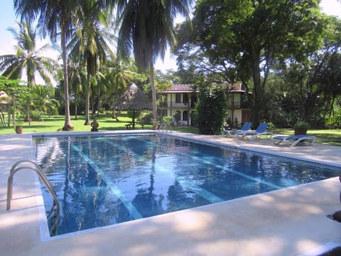 Garden, Swimming pool, Swimming pool