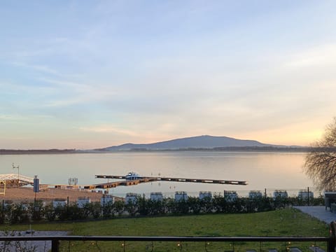 Lake view
