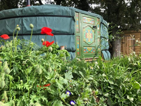Mill Stream Yurt Luxury tent in Colyton