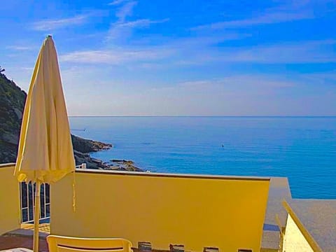Families or Groups 3 Terrazzi Penthouse on Sea w Ac Apartment in Vernazza