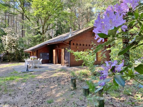 Property building, Summer