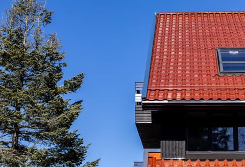 Nidos Banga Apartment in Klaipėda County, Lithuania