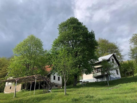 Etno kuća Milidrag House in Montenegro