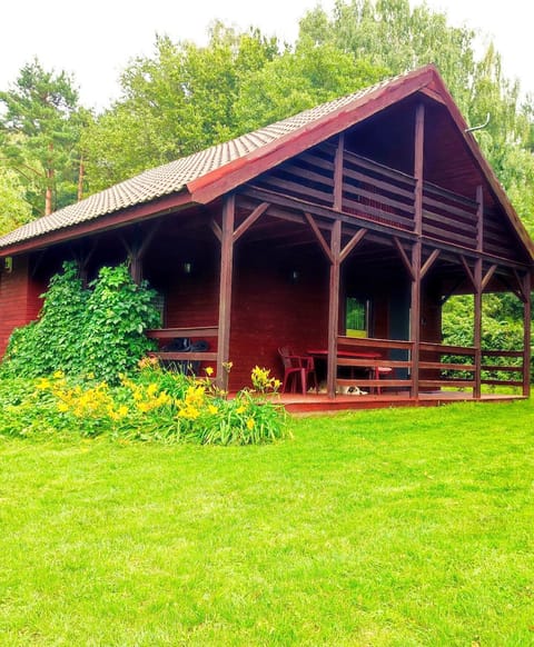 Property building, Animals