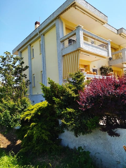 Property building, Garden