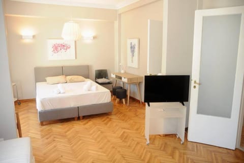 Lovely apartment in Plaka Apartment in Plaka