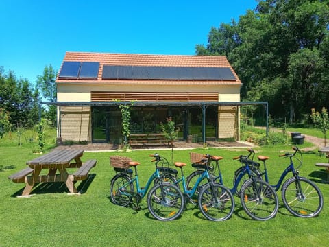 Natural landscape, Cycling, Garden view