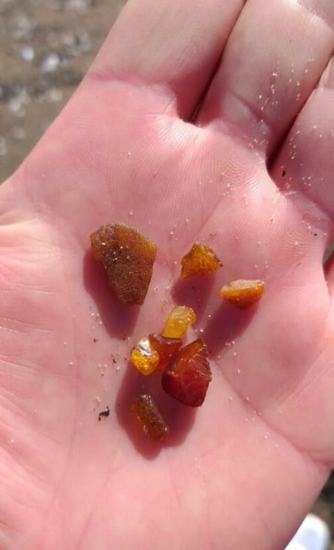 Pokoje Sobie na Wyspie Vacation rental in Gdansk