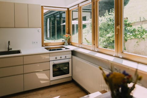 Kitchen or kitchenette, Garden view