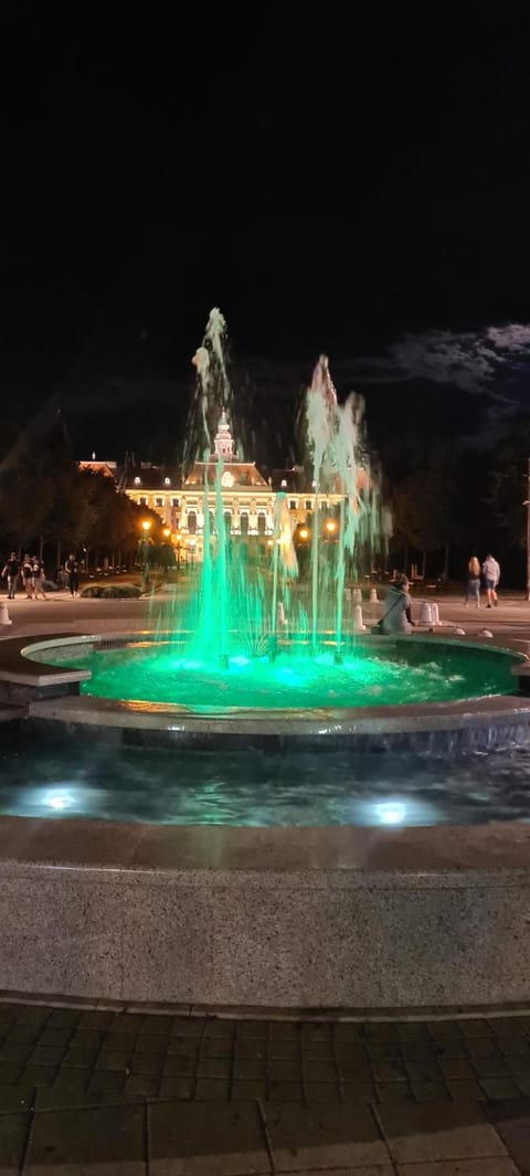 ALES apartman Apartment in Vojvodina