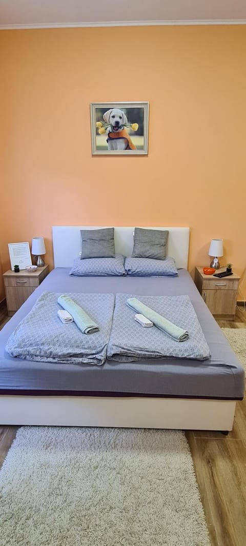 ALES apartman Apartment in Vojvodina