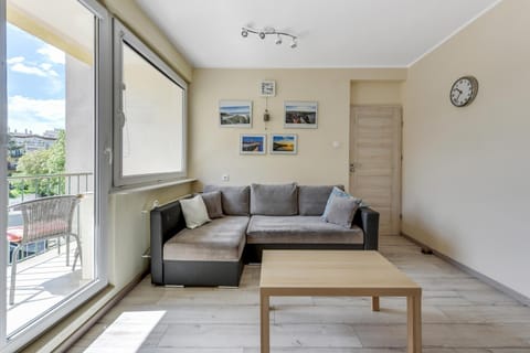 Balcony/Terrace, Living room, Photo of the whole room, Decorative detail, Seating area, Area and facilities