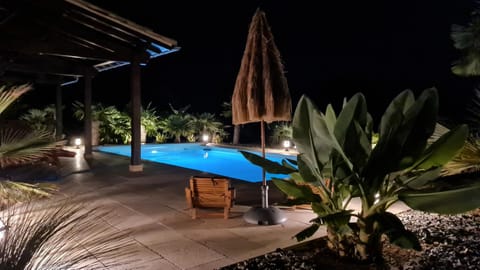 Night, Garden, Swimming pool