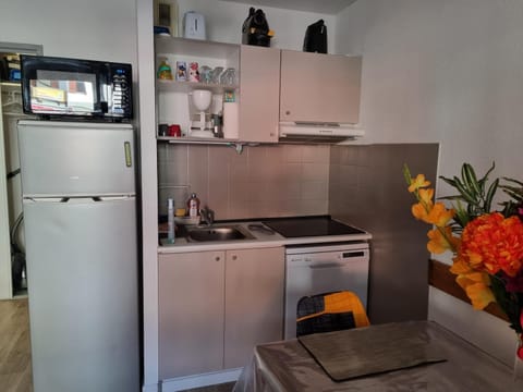 Kitchen or kitchenette, dishwasher, pet friendly