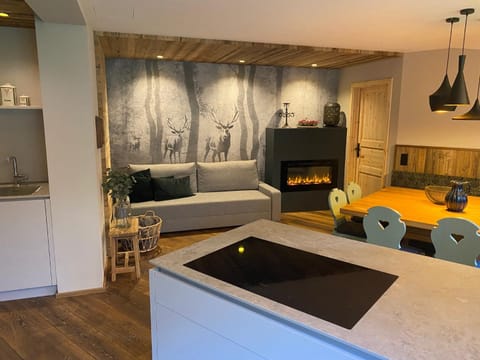 Kitchen or kitchenette, Living room, Seating area