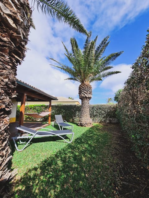 Natural landscape, Garden, sunbed