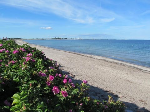 Ferienhaus-Strandperle House in Ostholstein