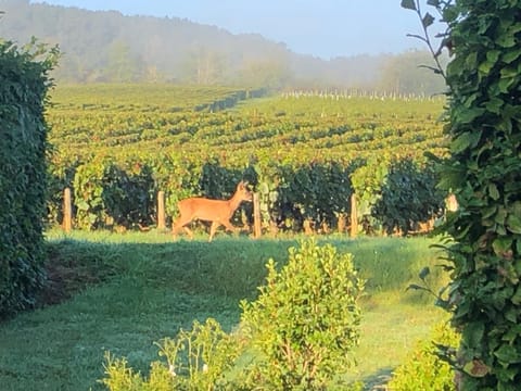 Avre de Paix Sancerrois Vacation rental in Centre-Val de Loire