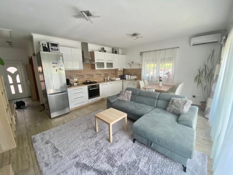 Kitchen or kitchenette, Living room, dishwasher, oven, air conditioner