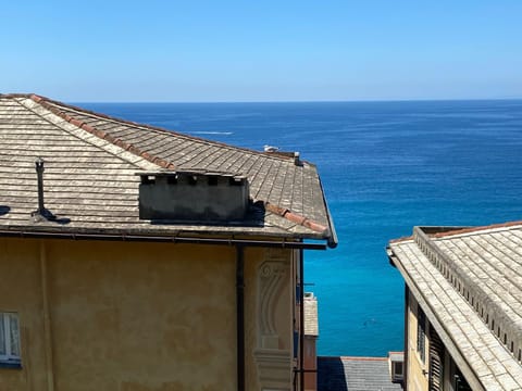 Camogli - "La Casa di Ortensia" - Liguria Holidays Apartment in Camogli
