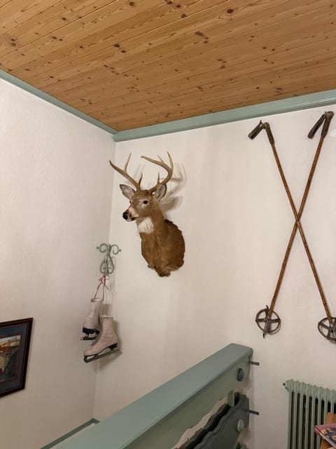 Landhaus Schönblick Apartment in Carinthia, Austria