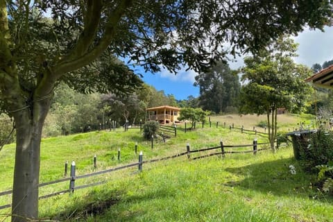 Natural landscape, Garden, Mountain view