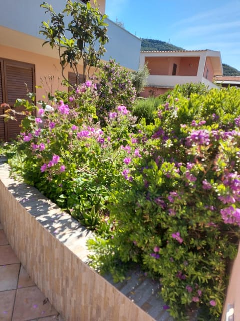 Garden, Balcony/Terrace