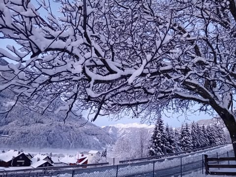 Day, Natural landscape, Winter