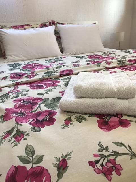 Apartman studio Milojkovic Apartment in Serbia