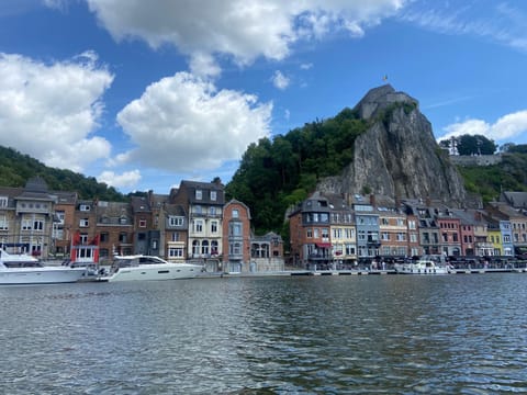 Vikarti Stay, a lovely house with incredible view House in Dinant