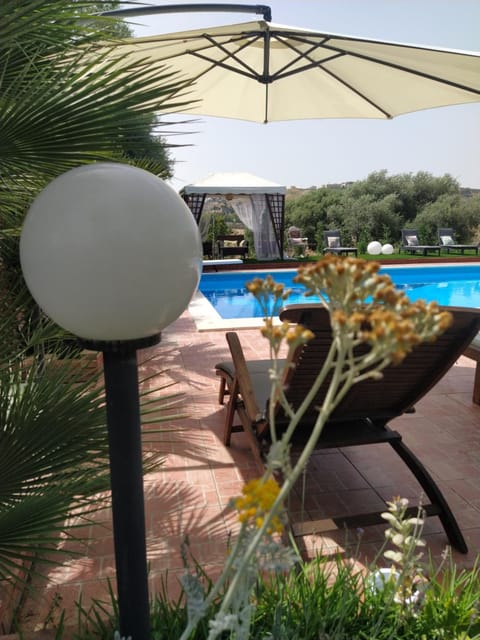 Garden, Garden view, Swimming pool